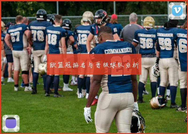 欧篮冠排名与晋级球队分析